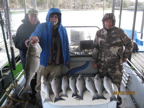 Nice Striped Bass